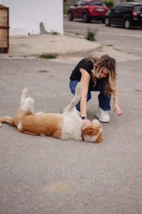 Teddy Top - Image 6